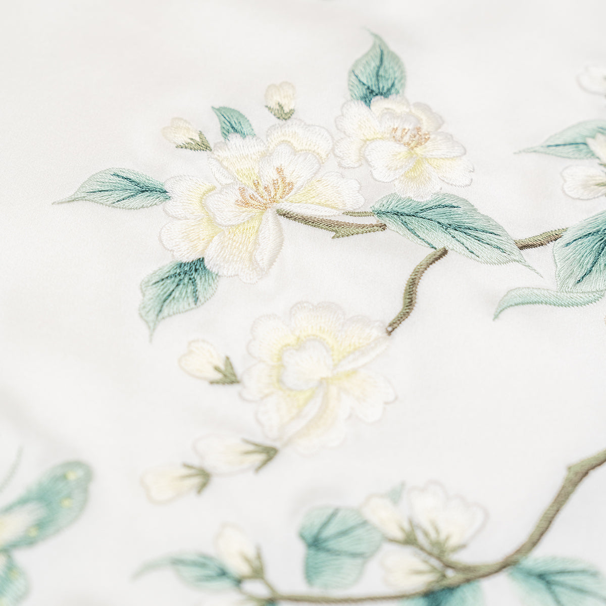 Jasmine Puppy